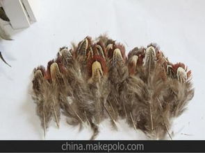 舞台服装辅料供应商与批发市场全攻略 采购策略与价格解析